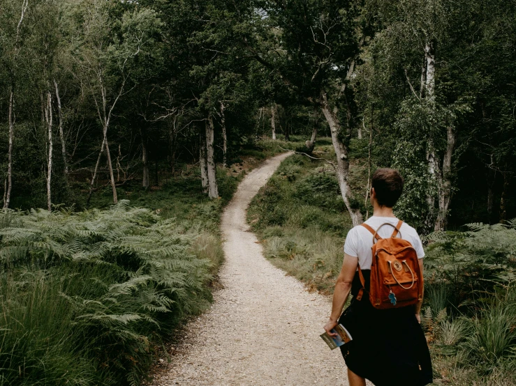 the man with his backpack is walking along a path