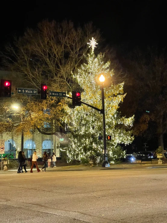 christmas tree with people on the sidewalk near street lights