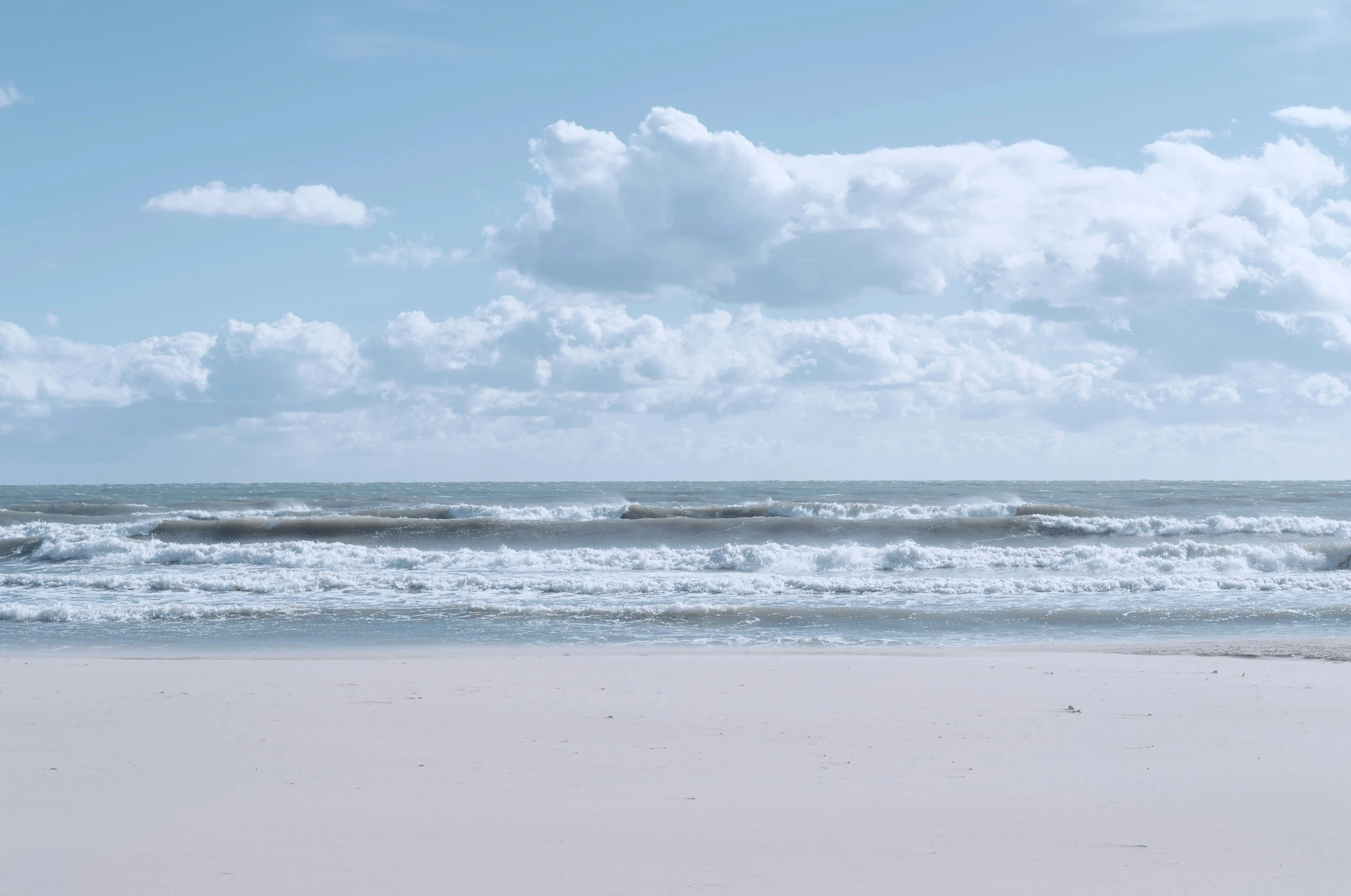 two birds walk on the sand by the water