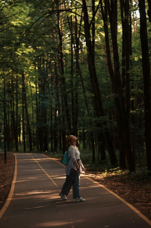 a person walking down a tree lined path