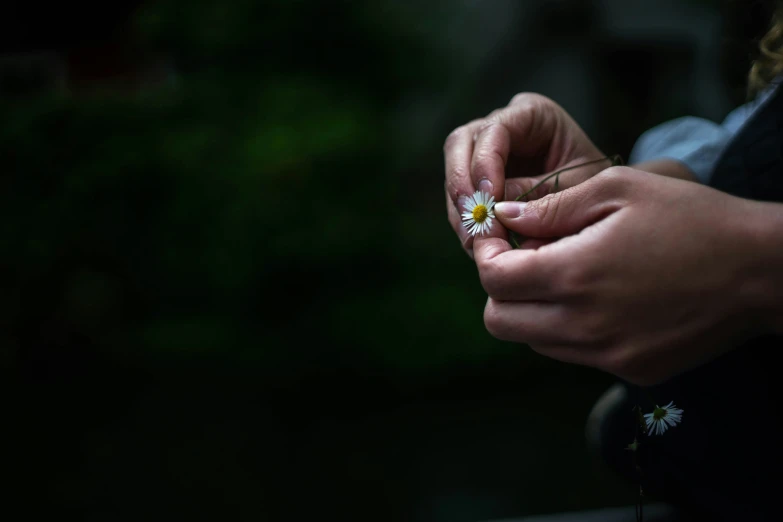 a person holding a daisy in their right hand