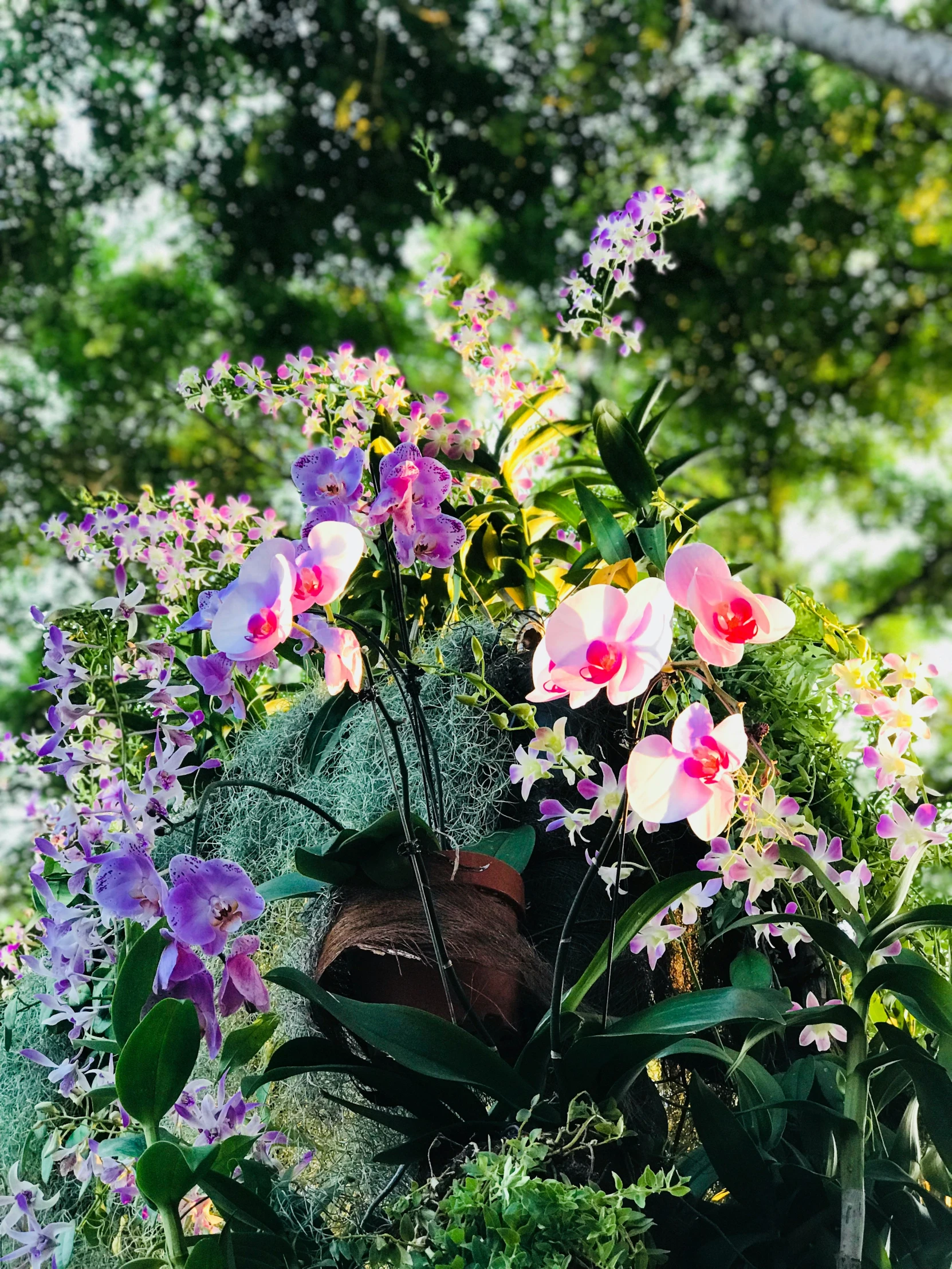 this is a bunch of flowers with purple and white