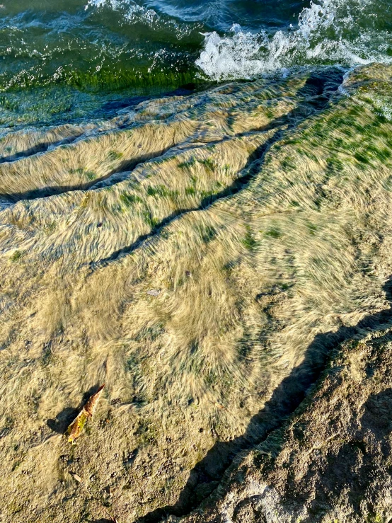 shadow on the beach as a person walks by