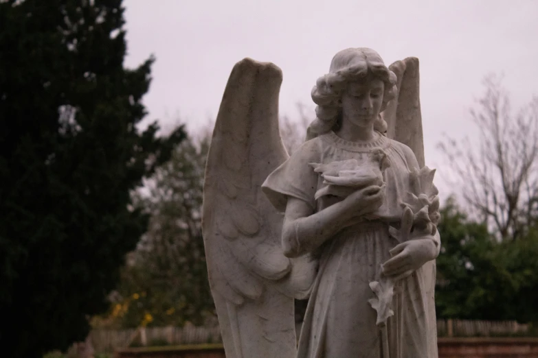 an angel statue with two wings and a white dove