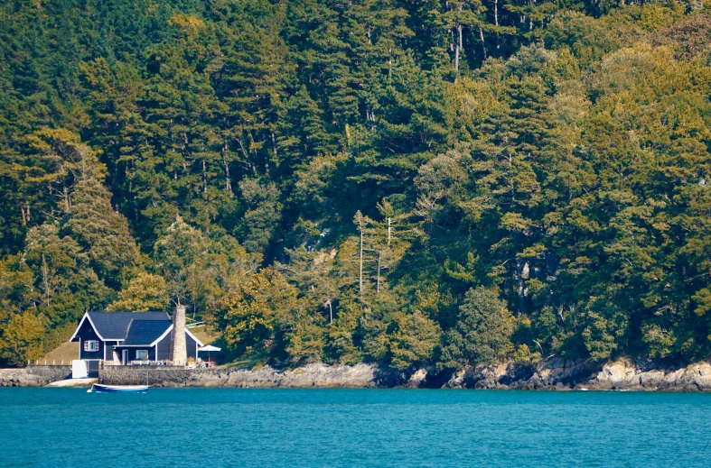 a house on the edge of a lake next to forest