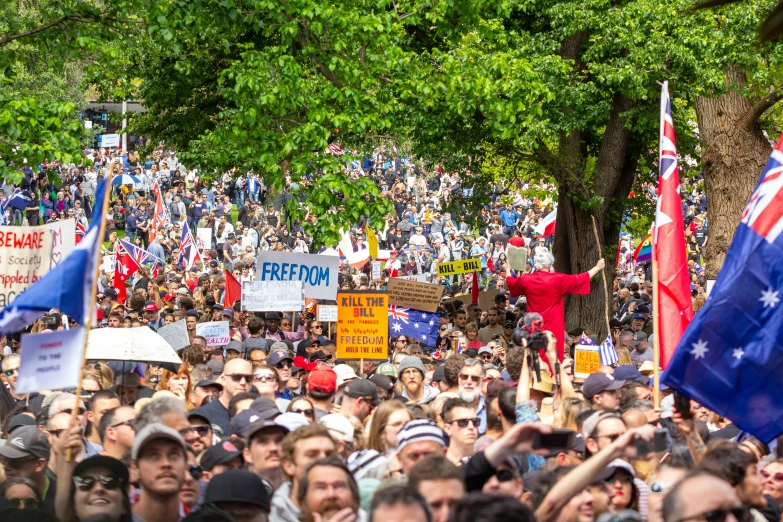 people in a crowded area with signs and flags