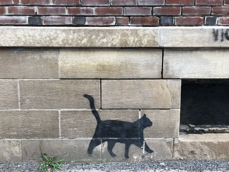 the cat is shadow on the stone wall by itself