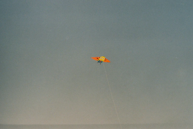 a kite with fish on it flying in the sky