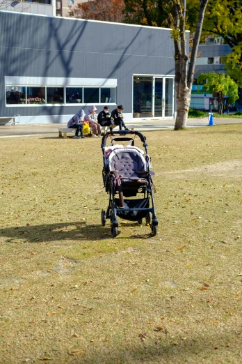 a childs stroller sitting in the grass