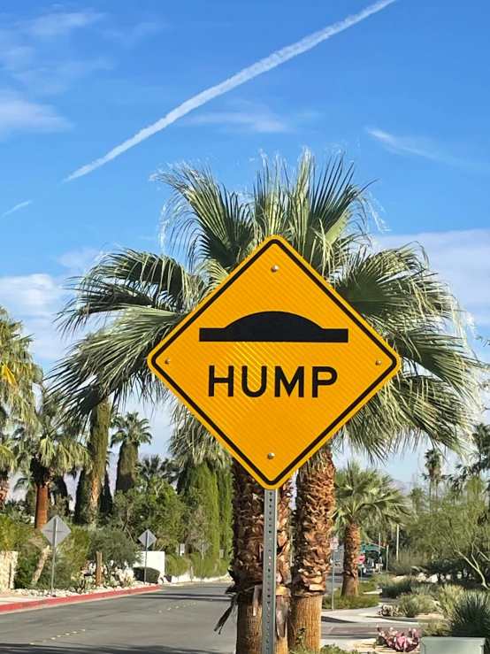 a hump sign with two trees next to it