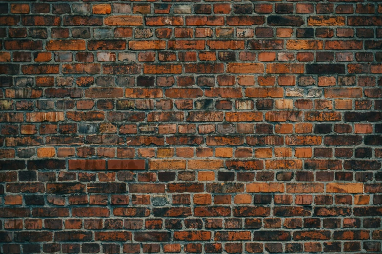 the old red brick wall texture is visible in the image