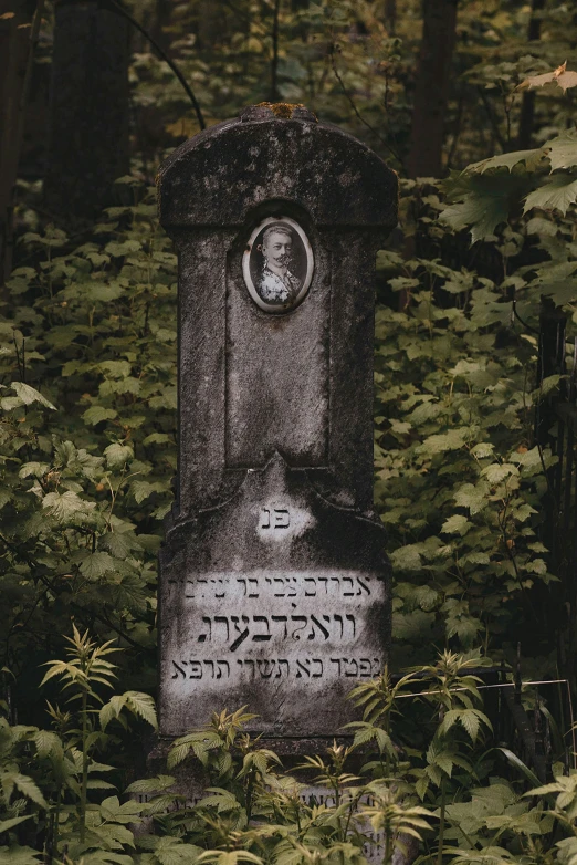 a cemetery with trees and shrubs around it