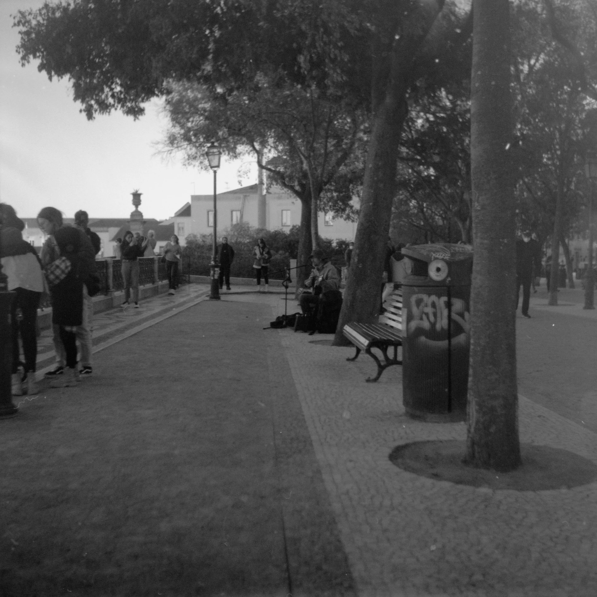 a group of people standing and sitting next to trees