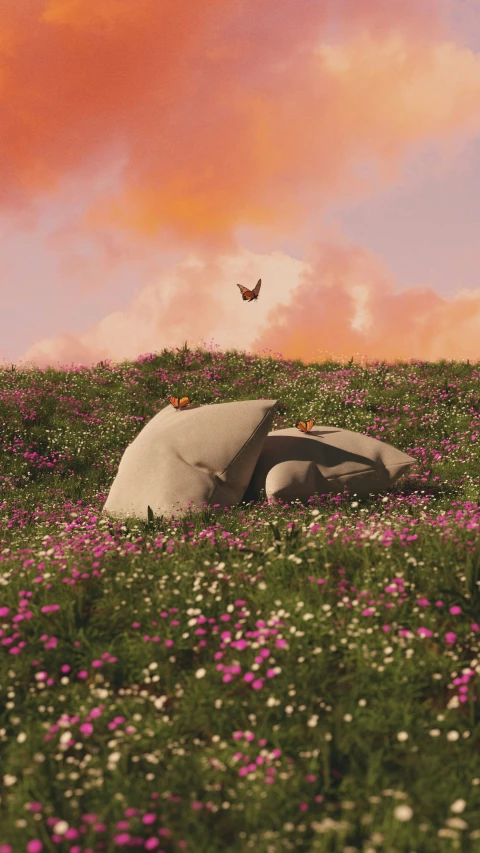 a rock formation in a field of flowers with a red sky above