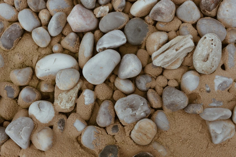 a bunch of rocks on top of a sandy beach