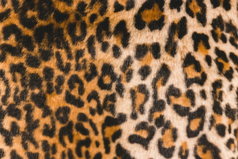 a close up of a animal pattern in shades of brown