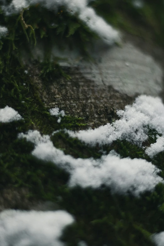 close up of an area covered in clouds and snow