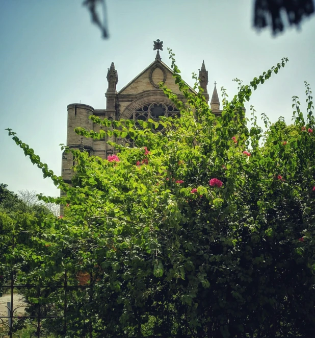 view of the tower from a nearby park bench