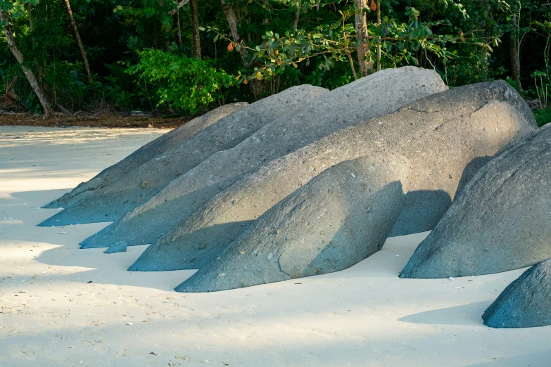 a group of rocks sits in the sand