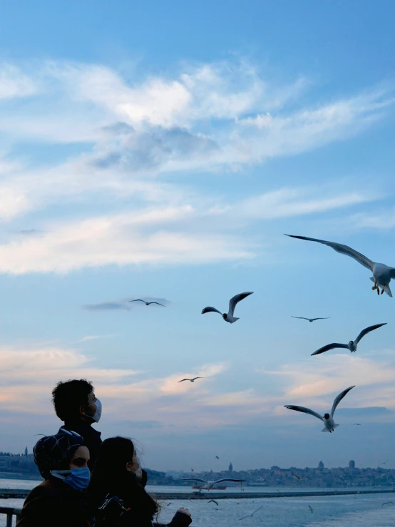 a man sitting on a bench watching birds over a body of water