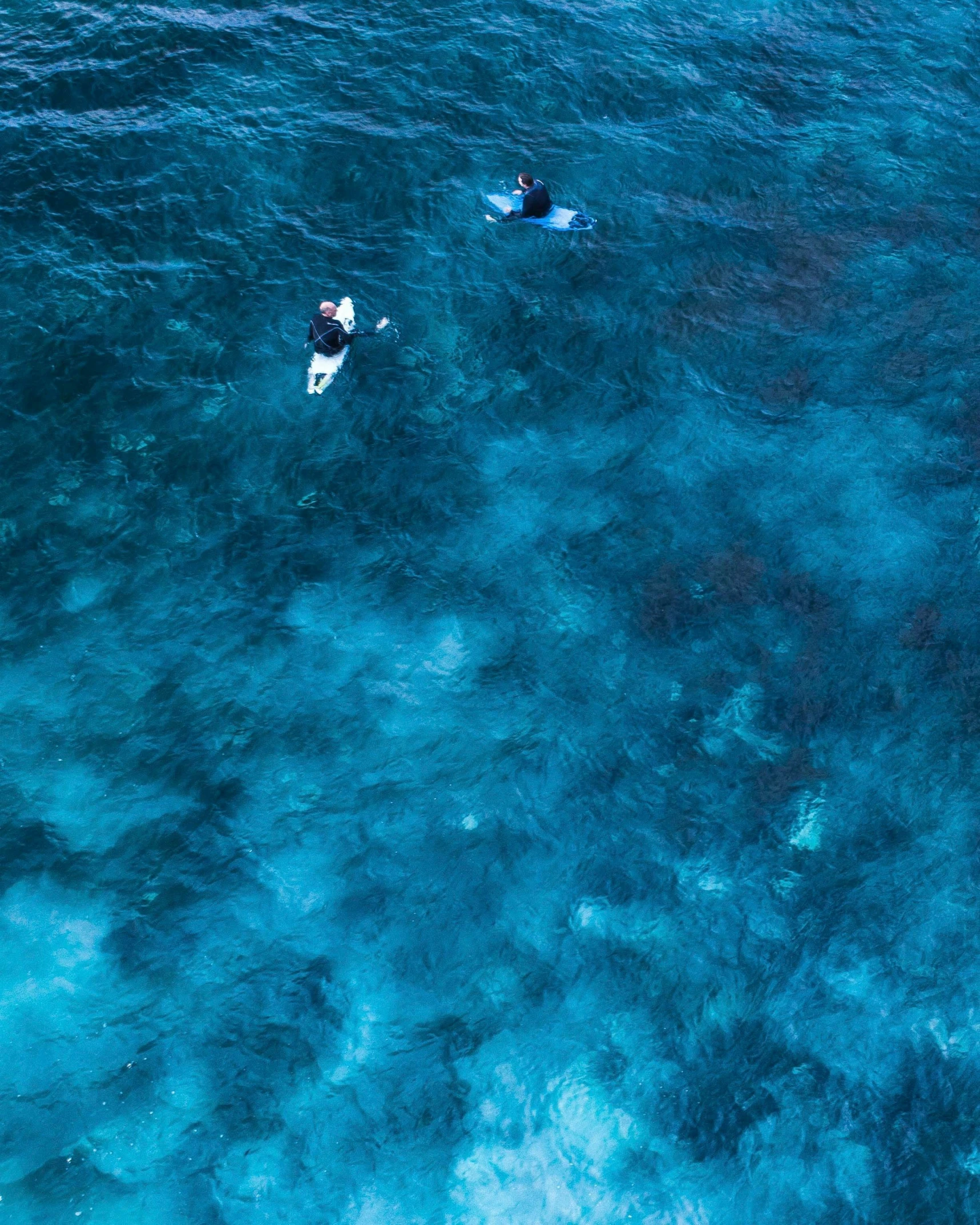 two men on surf boards on a blue ocean