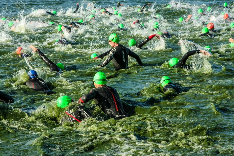 swimmers wearing swim caps head out to the sea in large numbers