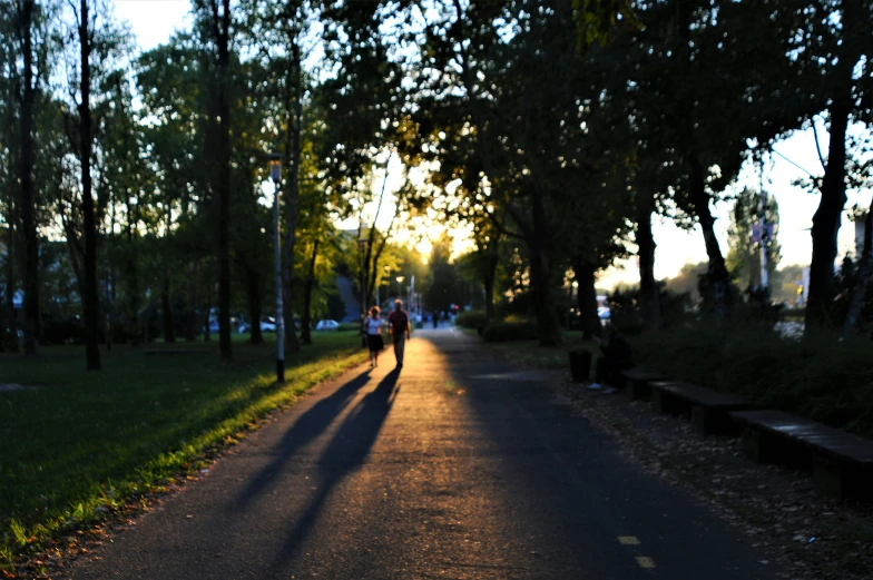 a man walking down a tree lined street in the afternoon