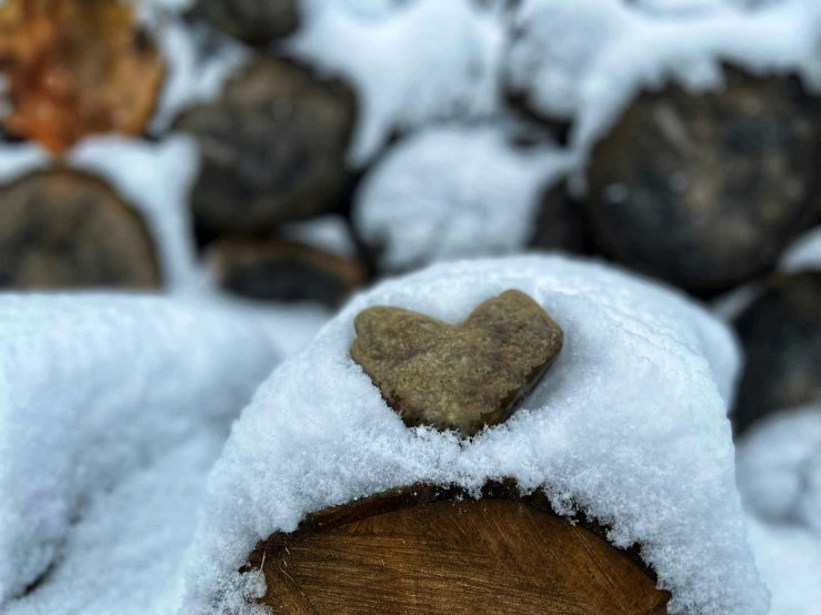 a heart is left on the snow covered log