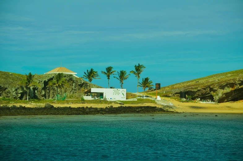 a house with palm trees near a body of water