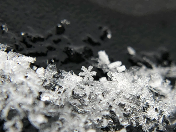 frosty white and black snowflakes on a surface