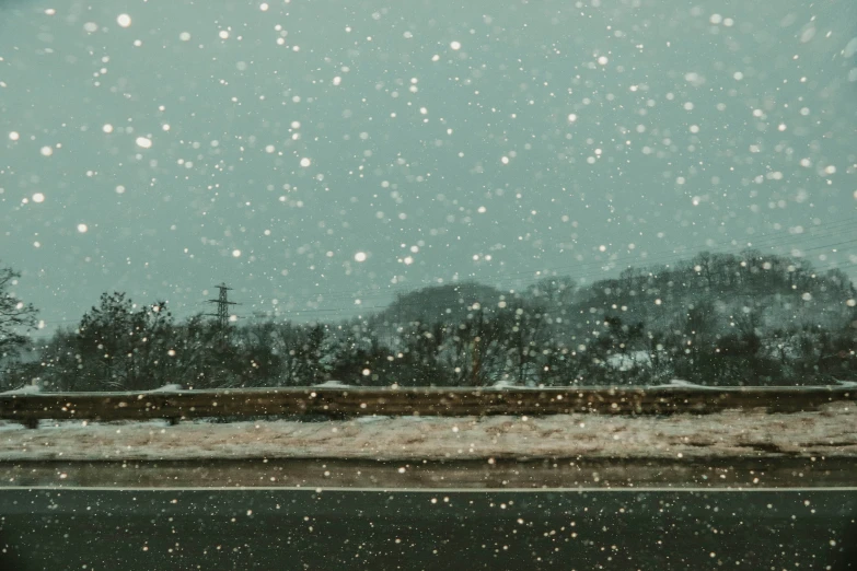 the snow is falling down and the picture of trees is in focus