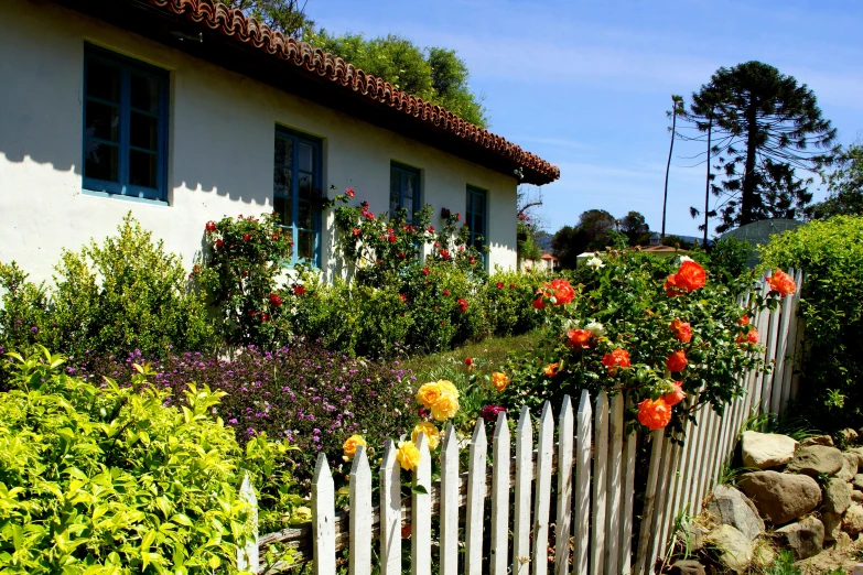 an outside po of flowers growing over the top of a fence