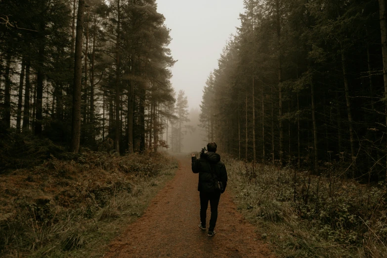 a person walks down a trail in a forest