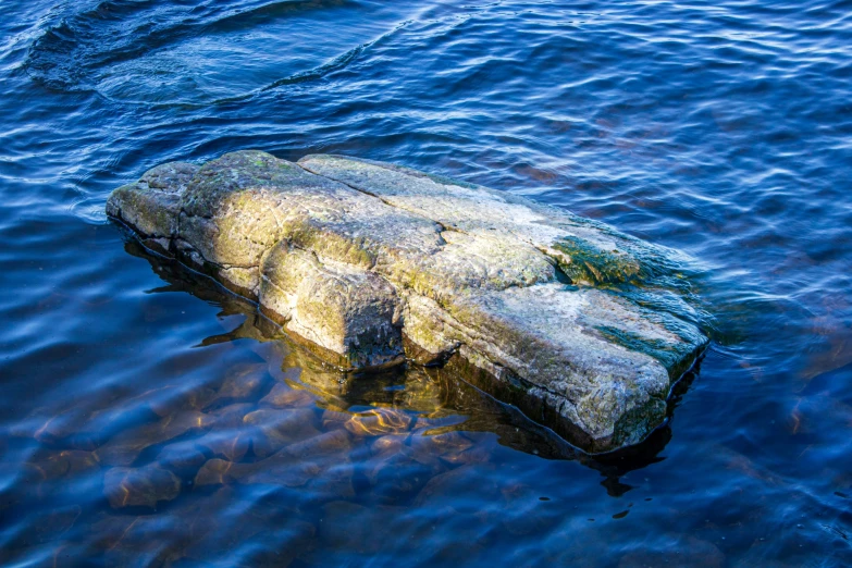 a piece of stone floating on top of a lake