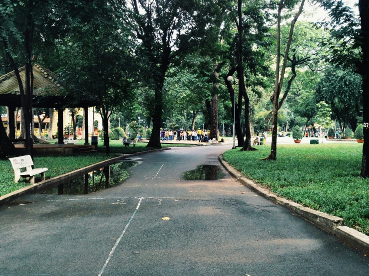 a park area with benches and a lot of trees