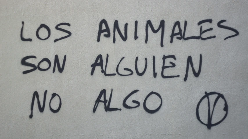 black graffiti spray painted onto white stucco saying los animals son alufen no algo