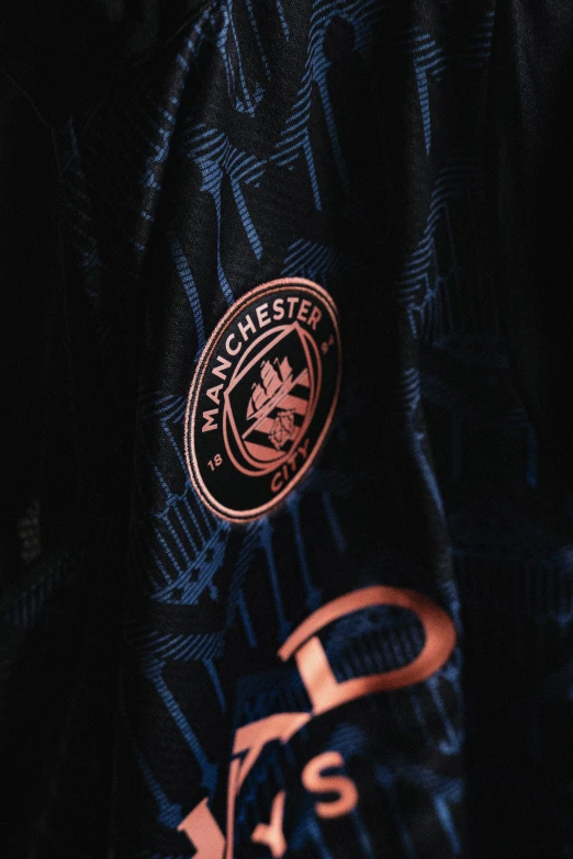 a closeup of the crest on the black jacket