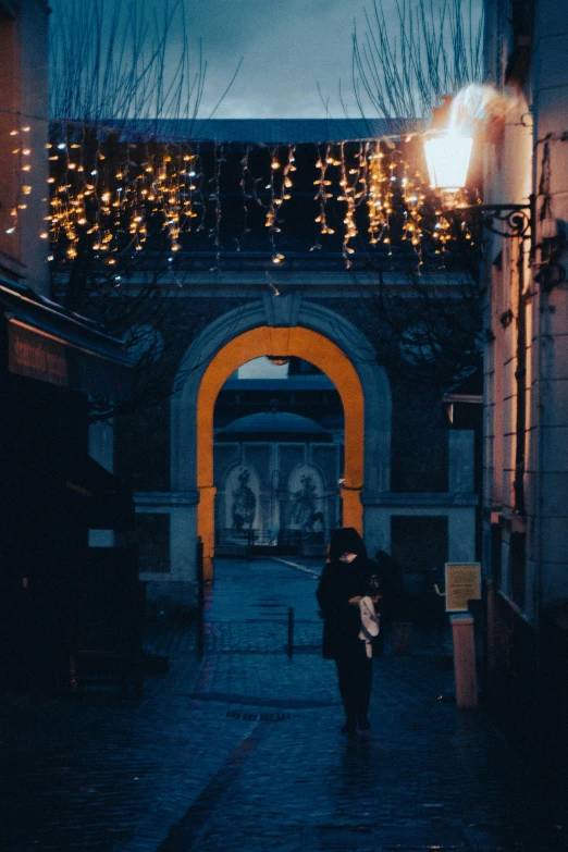 a picture of a person walking down a path with an umbrella