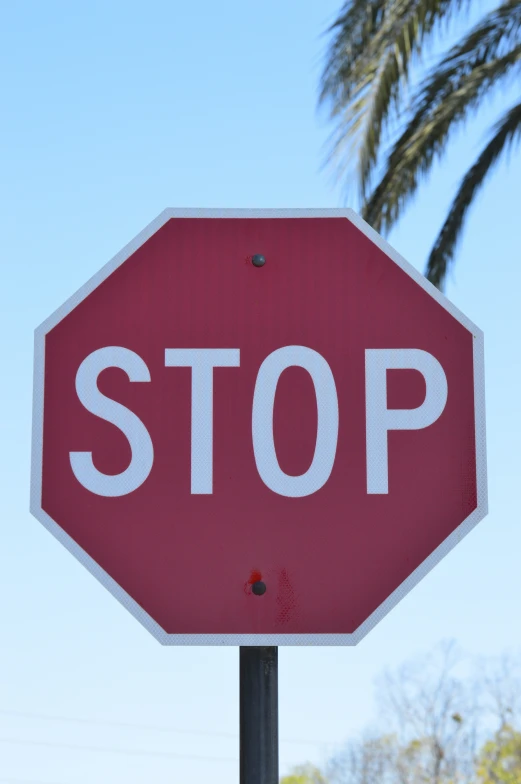 a stop sign with trees in the background