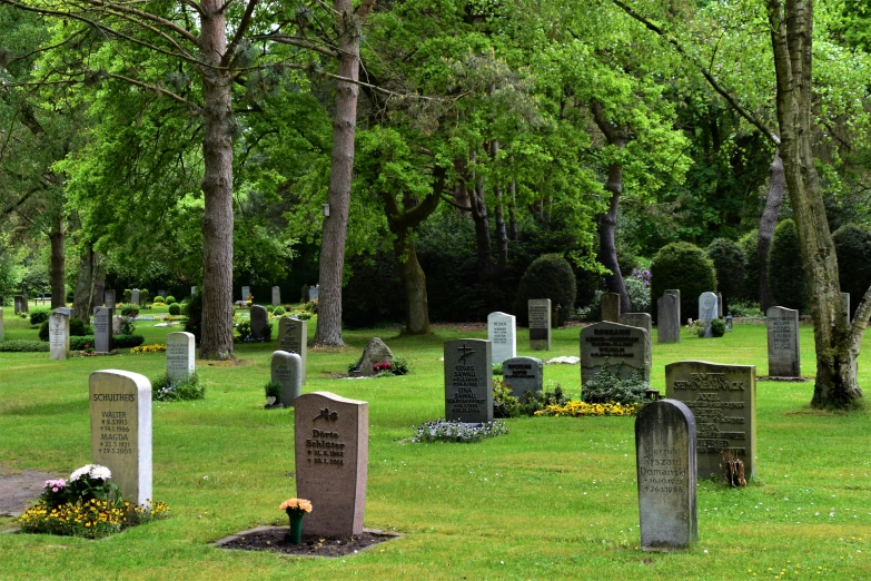 the cemetery is full of headstones, trees and flowers