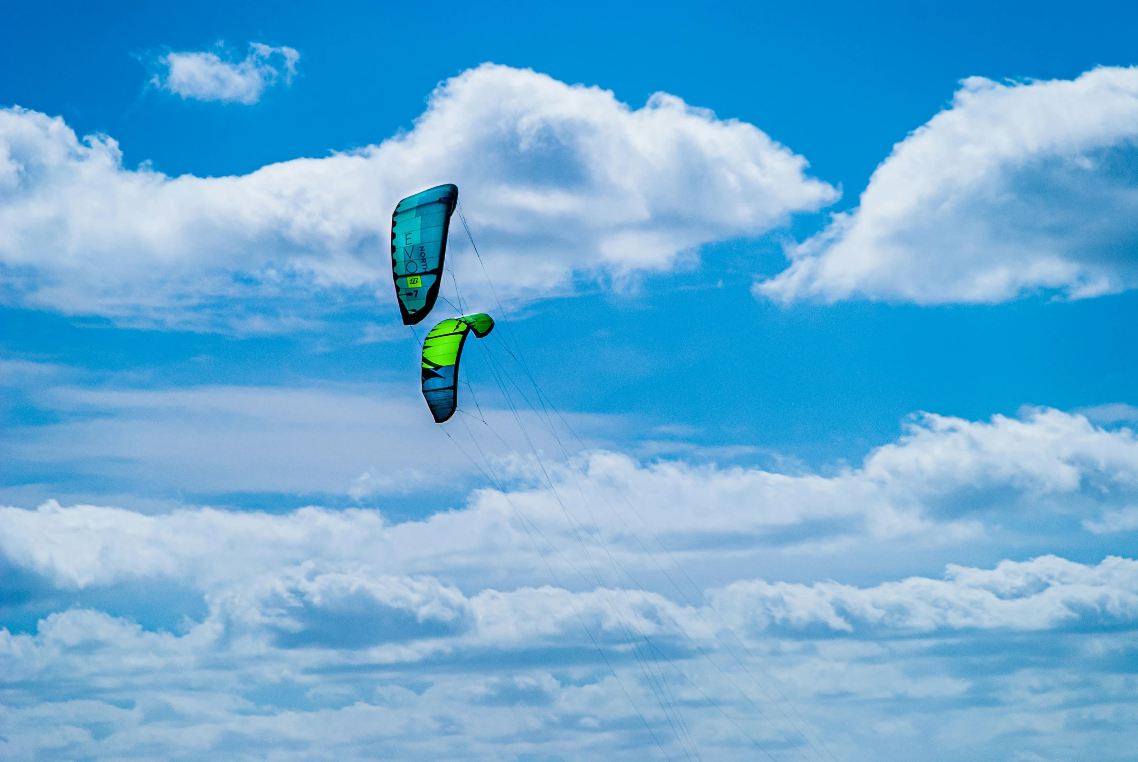 two people flying kites in an overcast sky