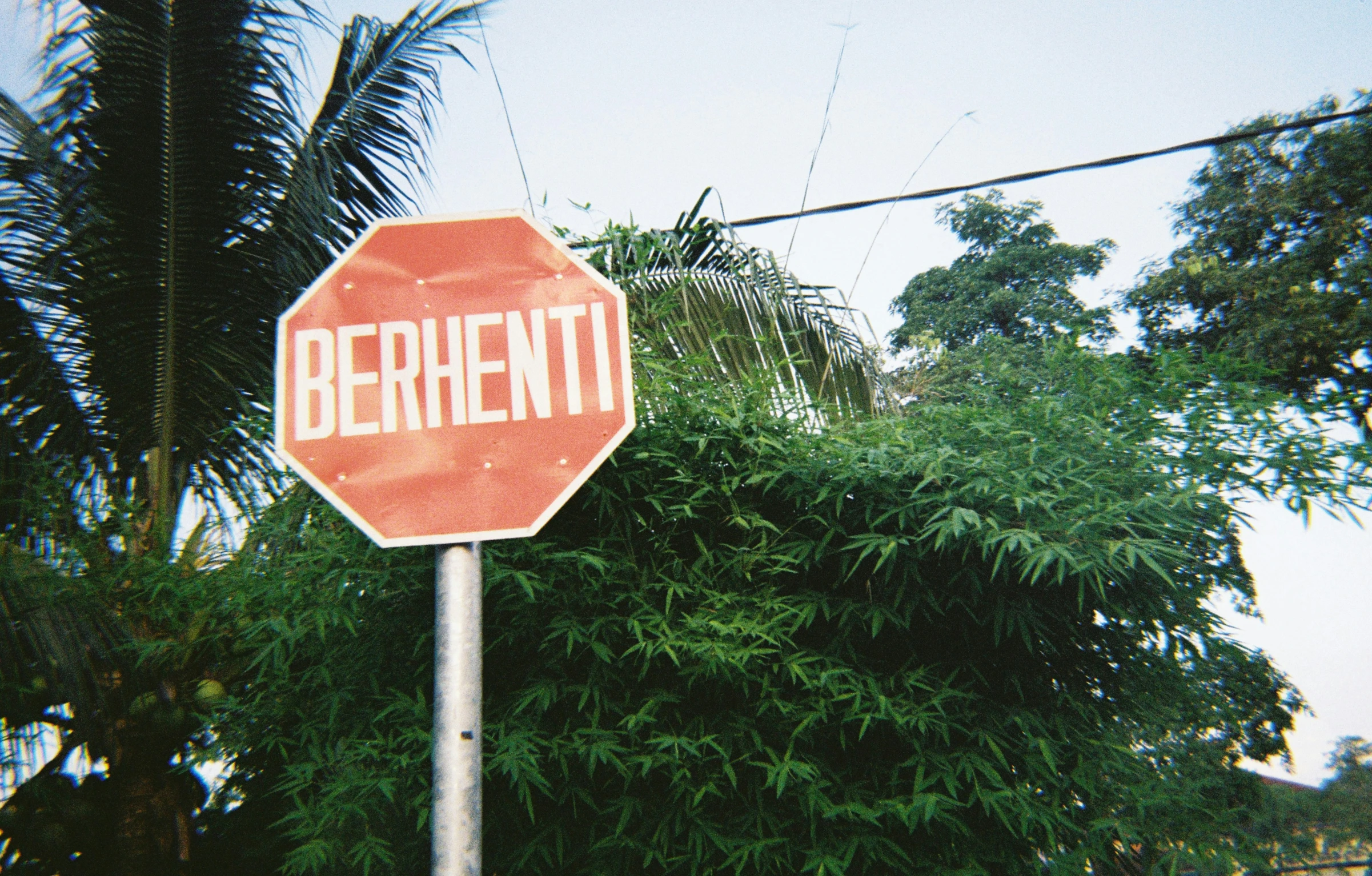 a stop sign and sign near a group of trees