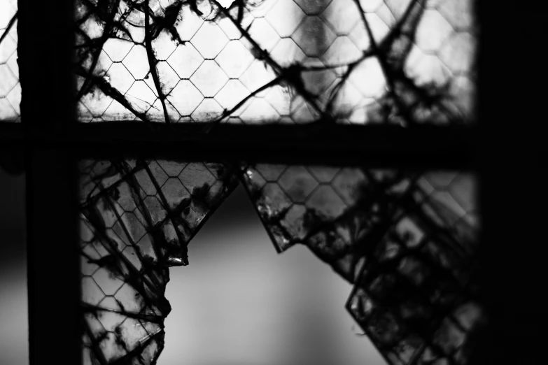 black and white image of some lace in window