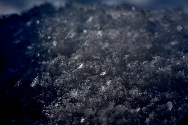 a very close up picture of snow on trees