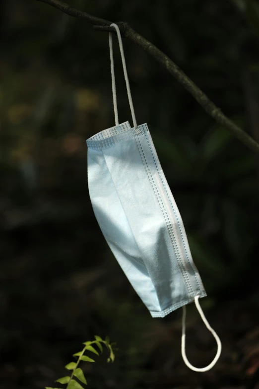 a blue bag hanging off the side of a tree nch