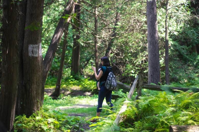 a person walking up a path in a forest