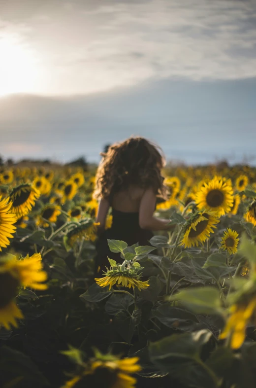 a woman with long hair walking through a field full of sunflowers