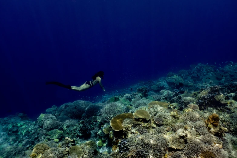 a woman swimming on top of a very big reef