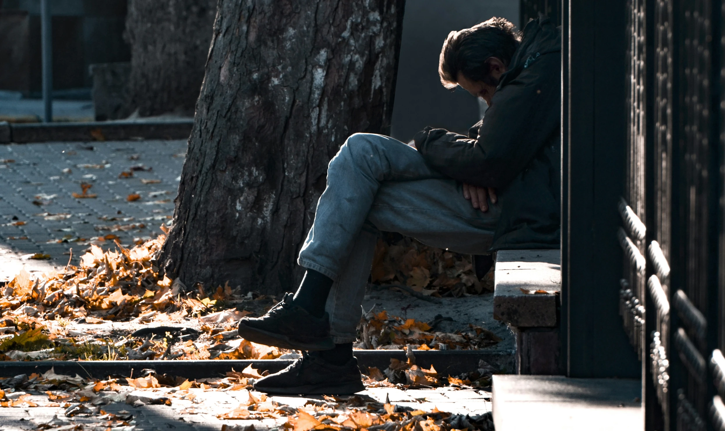 a person with a jacket on is sitting under a tree