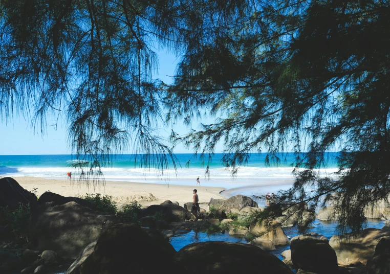 trees overlooking the ocean and water under the blue sky